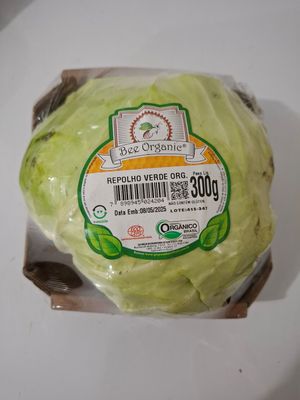 Repolho verde orgânico (300g)