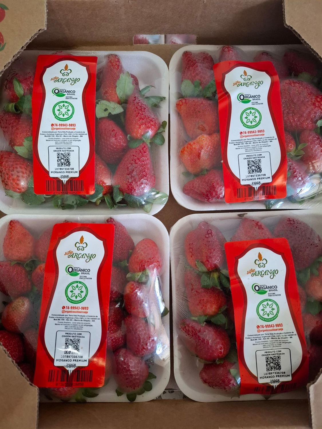 Morango caixa orgânico (800g)