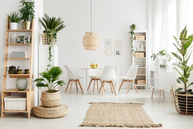 WHITE ON WHITE E-DESIGN