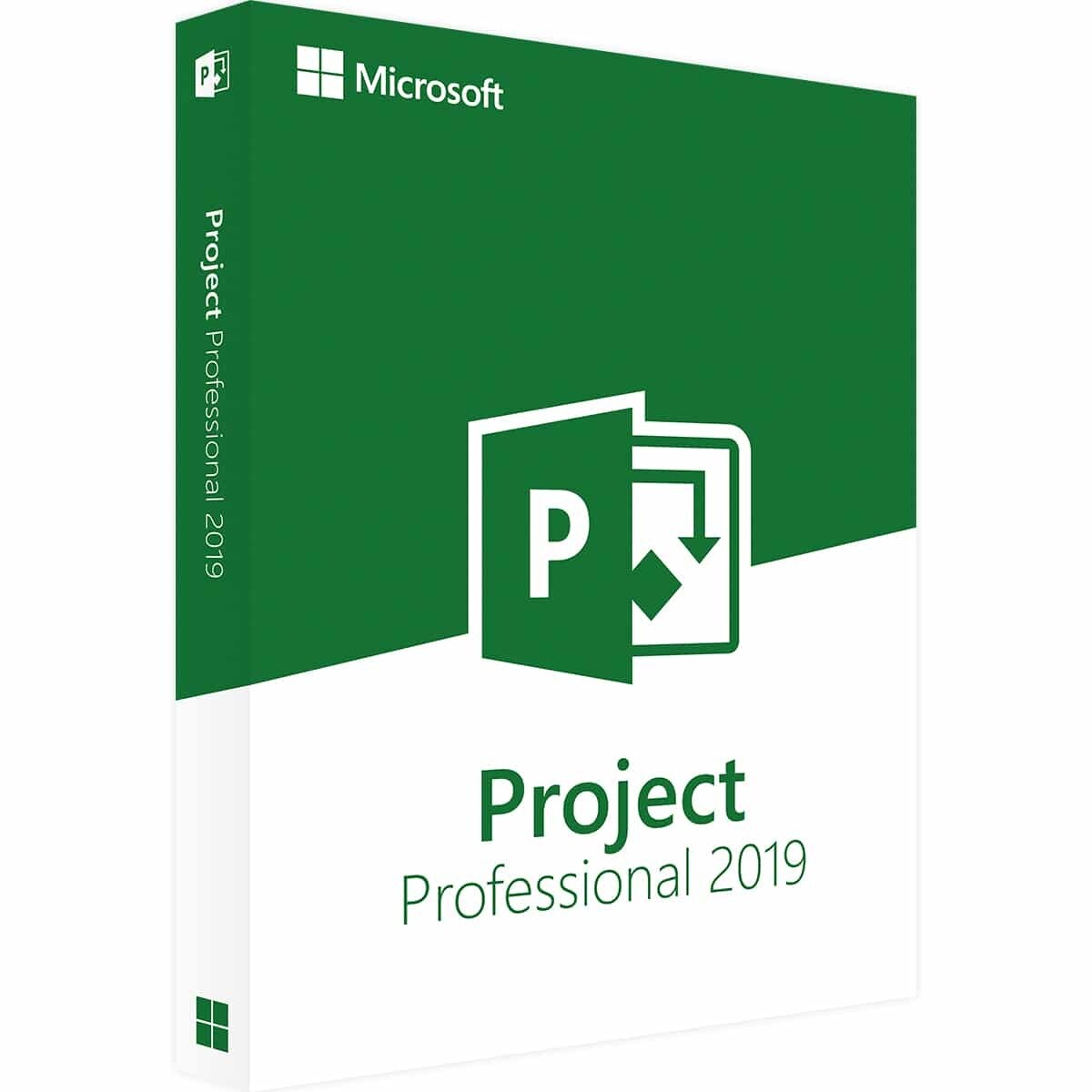 Microsoft Project Professional 2019 Para PC Con Windows