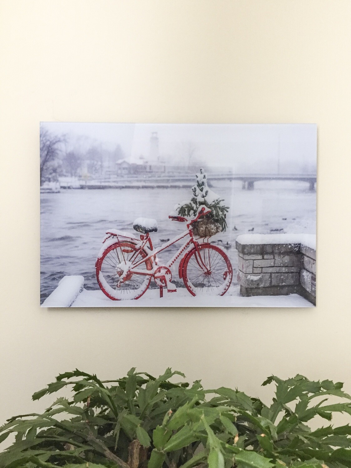 Port Credit Red Bike in Winter