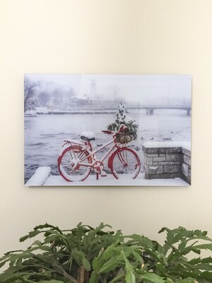Port Credit Red Bike in Winter