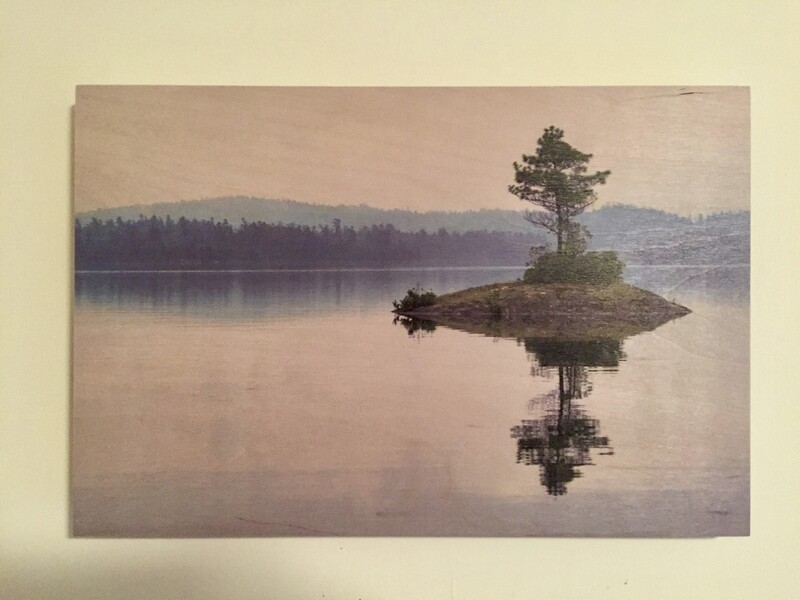 Lonely Pine on Lake Temagami