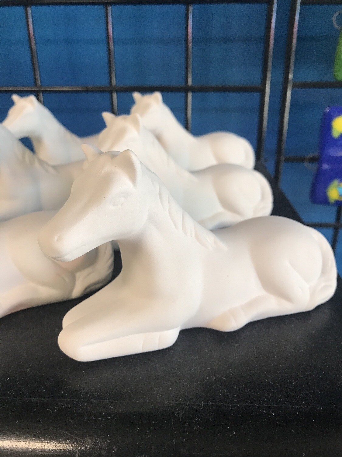 Cute Laying Horse Cute Laying Horse