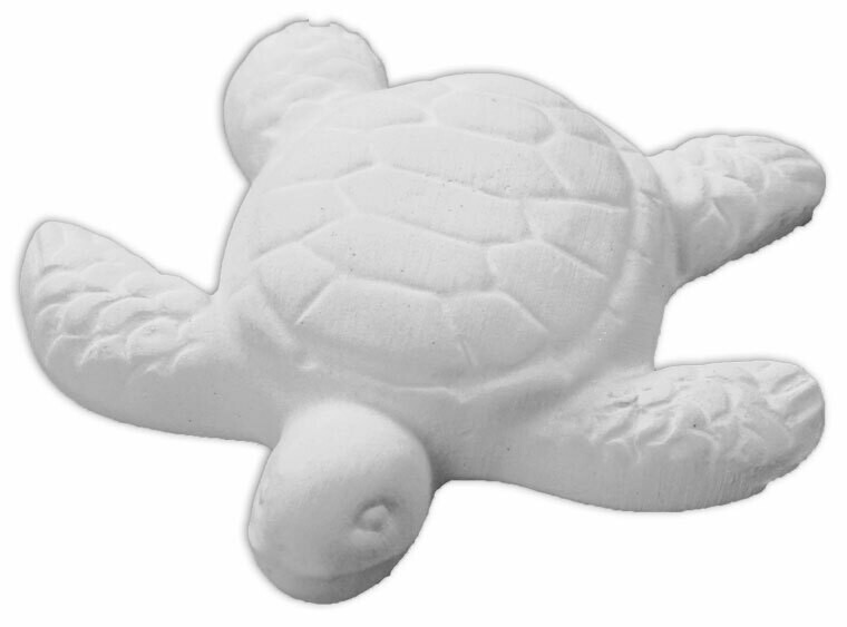 Tiny Turtle Tiny Turtle