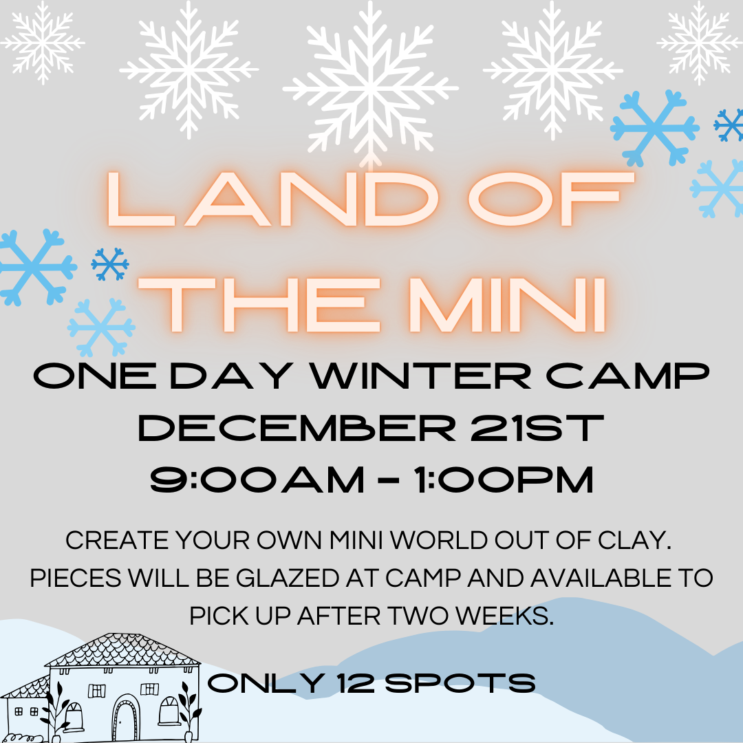 Land of the Mini: One Day Camp