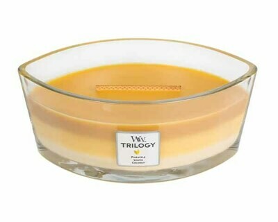 WW Trilogy Fruits of Summer Ellipse Candle