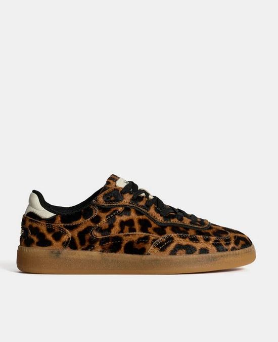 Hoff leopard sneakers Alley