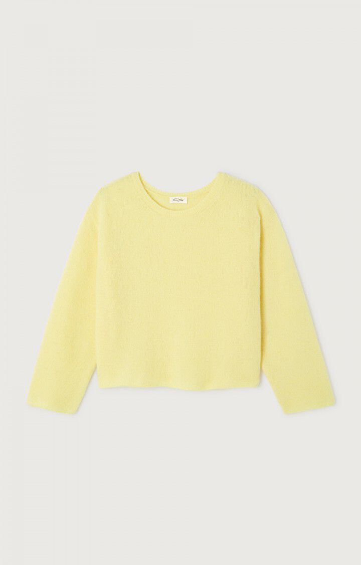 American Vintage pull Vitow citronnier chine