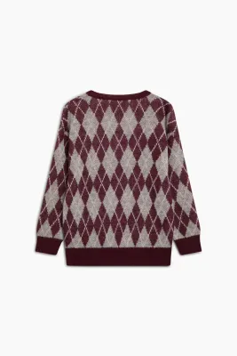 The new society Dune jumper