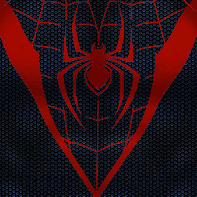 Spider | Miles