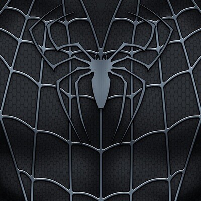 Spider | Raimi Black Suit