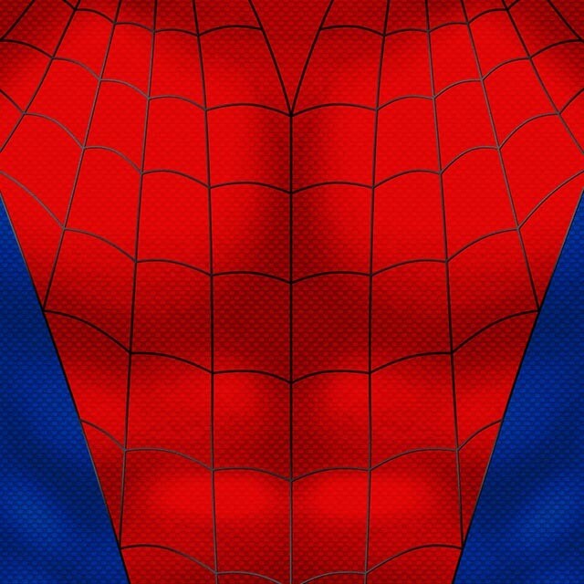 Spider | Comic (Blank)