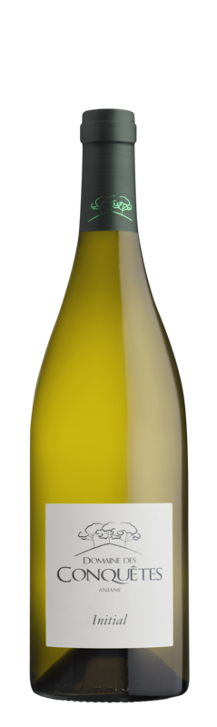 Initial Blanc
