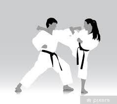 Judo et Karaté