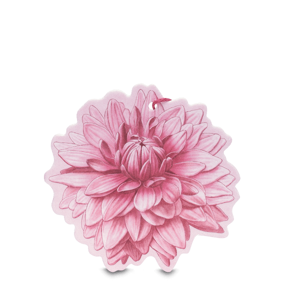 Sfumature di Dalia Fiore Profumato Multiuso 1 pz