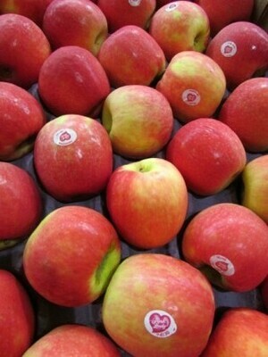 Appel Pink Lady