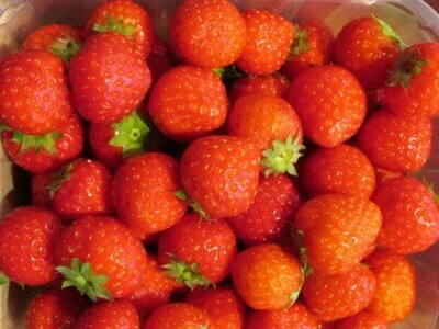 Aardbei Belgisch klein (per bakje van 500g)