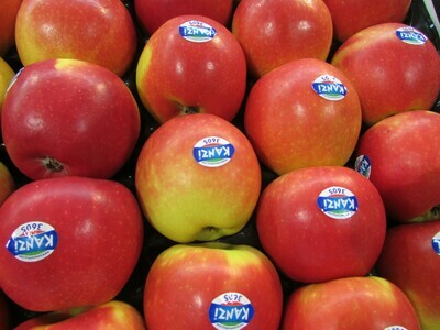 Appel Kanzi