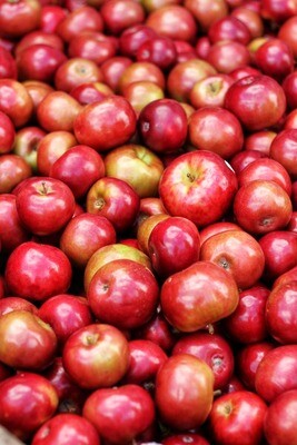 Appelen