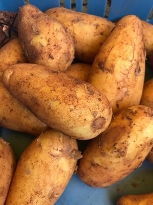 Cyprus aardappel