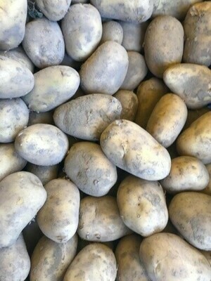 Aardappelen vastkokend !! Eigen teelt!!