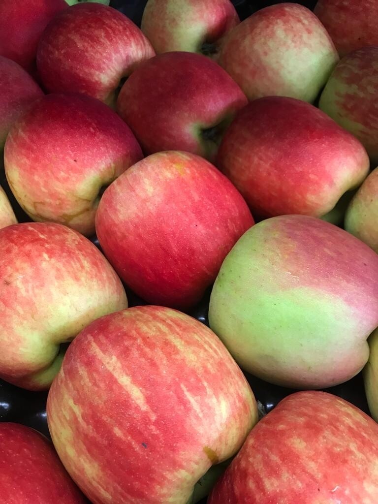 Appel Delbar