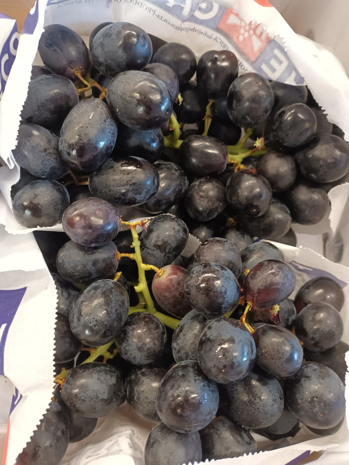 Druif blauw zonder pit