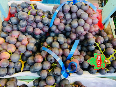 Belgische blauwe druif Ribier