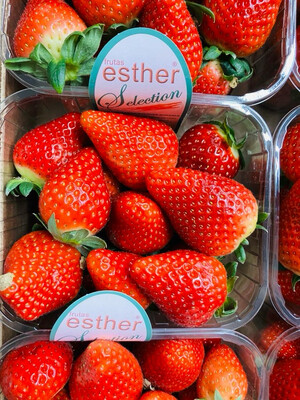 Aardbei (Spanje - 500 g)