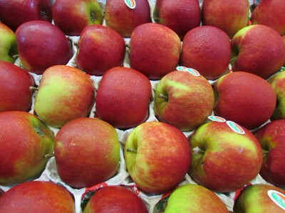 Appel Jonagold