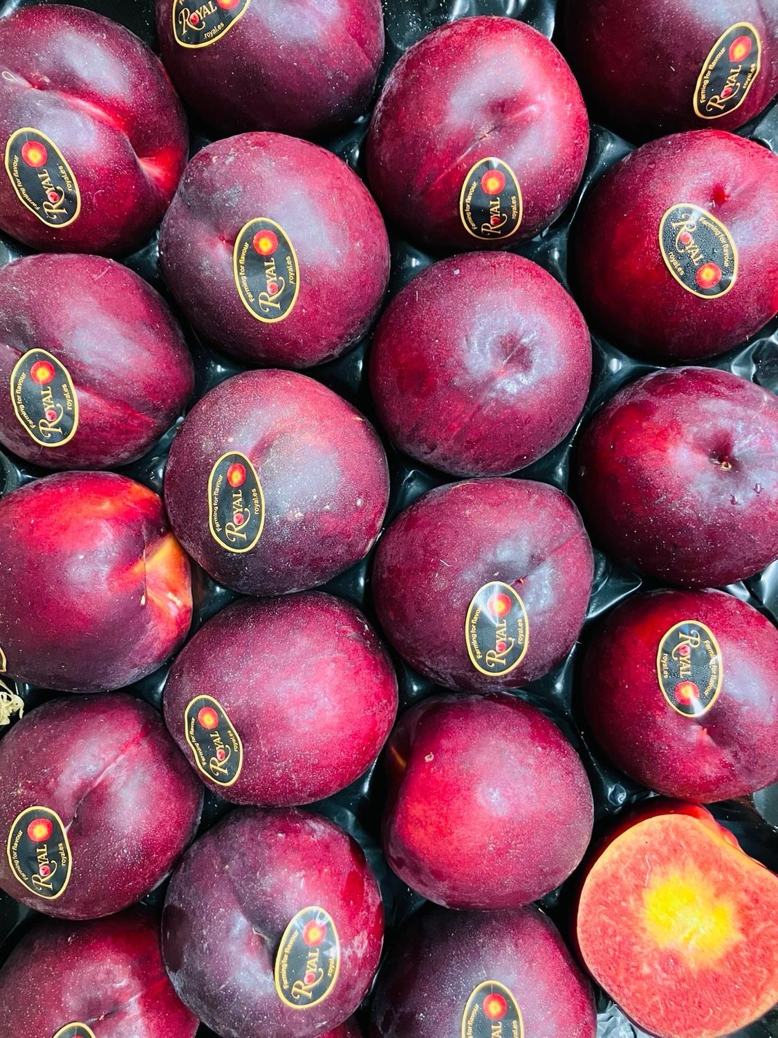 Nectarine Rood