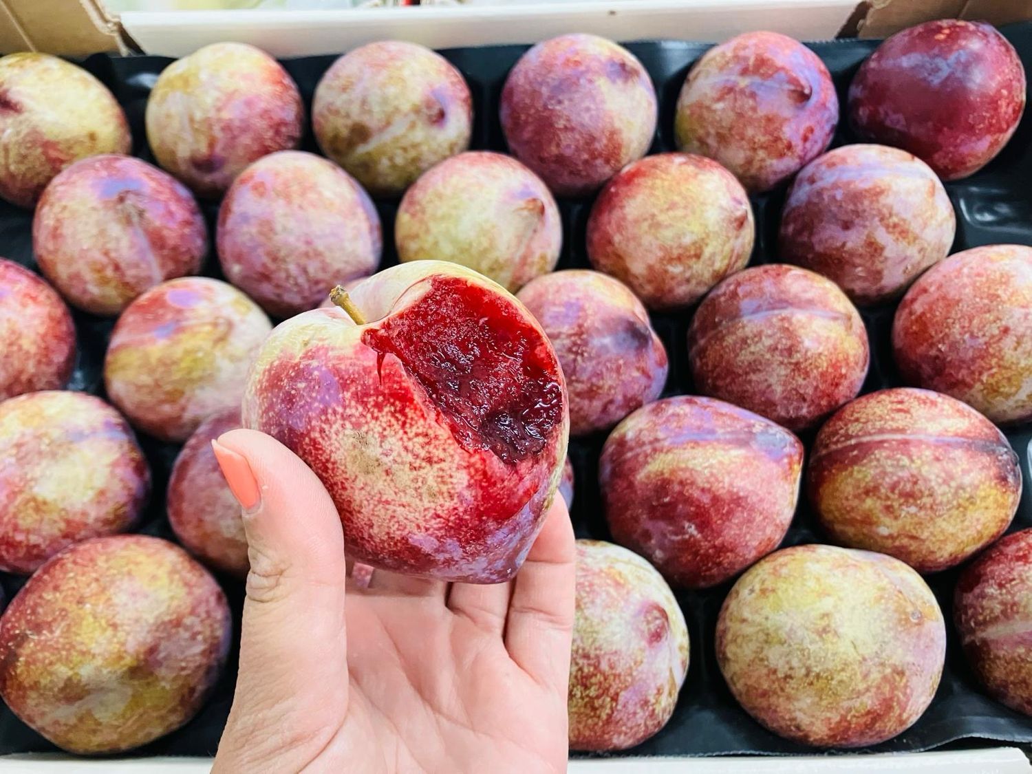 Rode pruim met rood vruchtvlees