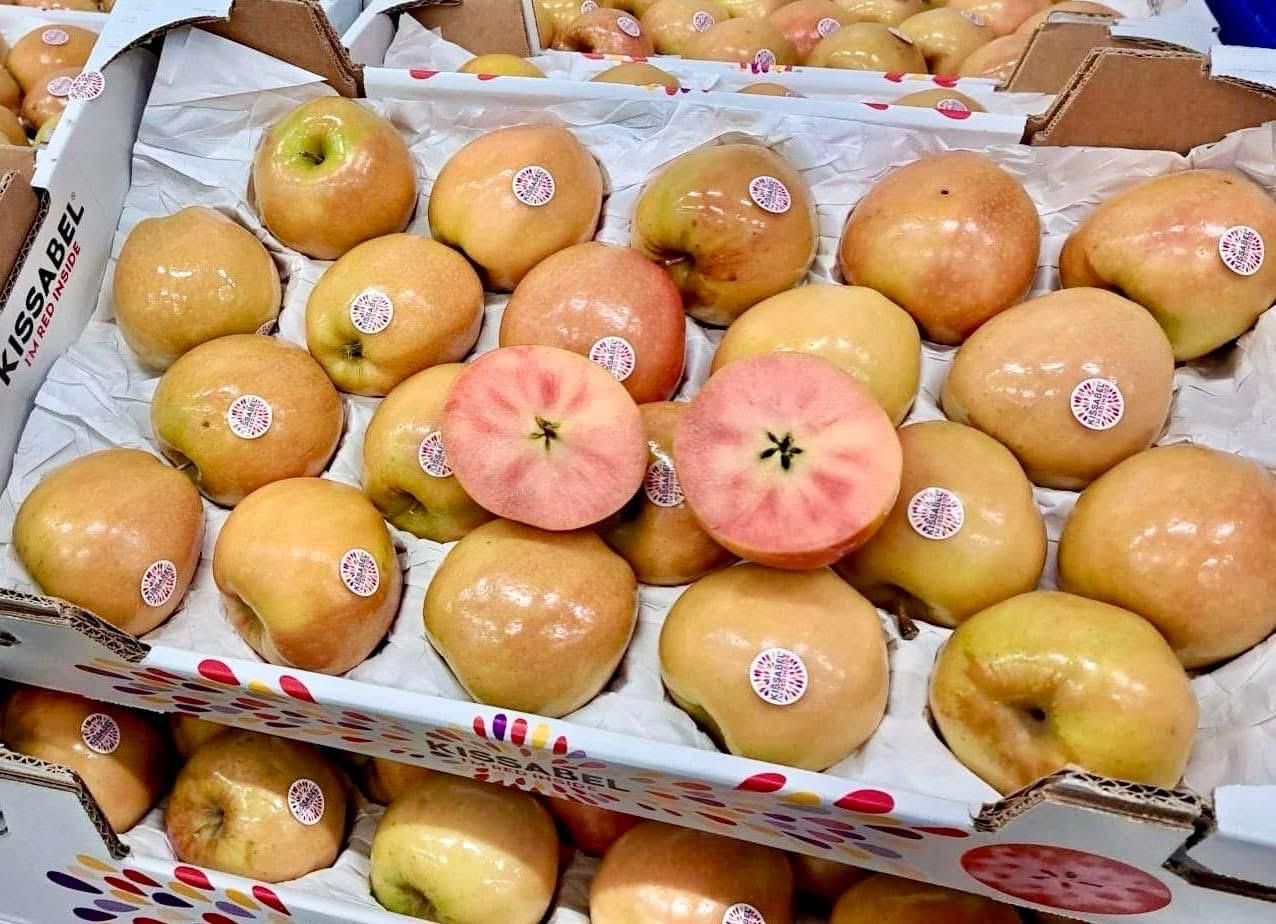 Appel kissabel