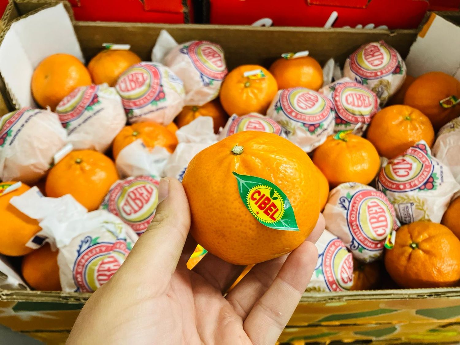 Clementines zonder blad