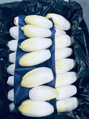 GrondWitloof 5kg = 5€