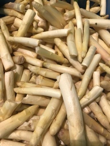 Aspergekoppen - niet gelegd 