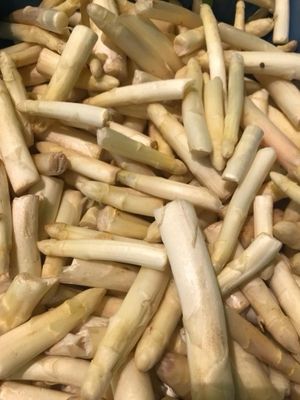 Aspergekoppen - niet gelegd 