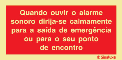 P0867 PVC fotoluminescente 400x200 TIPO 3