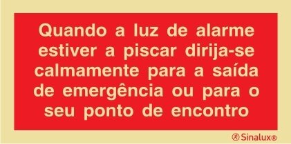 P0866 PVC fotoluminescente 400x200 TIPO 1