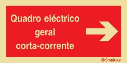 P0865 PVC fotoluminescente 300x150 TIPO 1