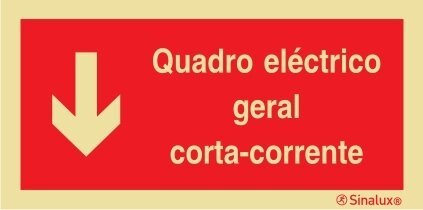 P0863 PVC fotoluminescente 200x100 TIPO 3