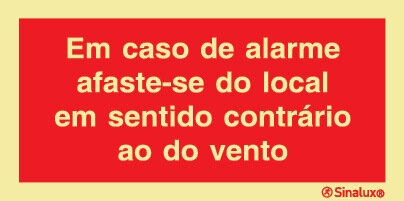 P0838 PVC fotoluminescente 200x100 TIPO 1