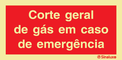 P0824 PVC fotoluminescente 300x150 TIPO 1