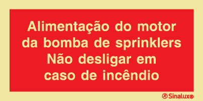 P0769 PVC fotoluminescente 300x150 TIPO 2