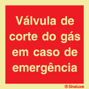 P0749 PVC fotoluminescente 200x200 TIPO 3