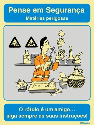 PSS06
