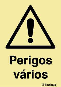 P1342 PVC opaco 200x300 TIPO 1