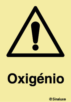 P1338 PVC opaco 200x300 TIPO 1