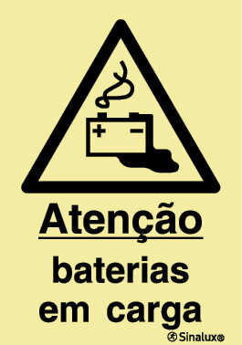 P1313 PVC opaco 200x300 TIPO 1